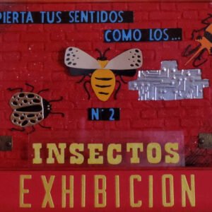 Insectos