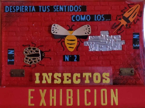 Insectos