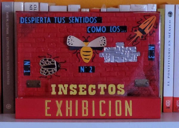 Insectos