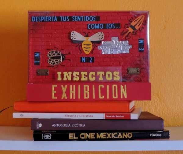 Insectos