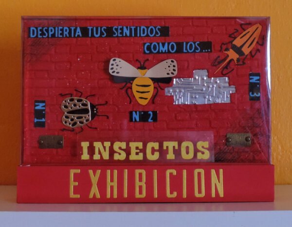 Insectos