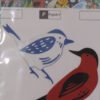 Aves