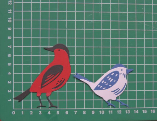 FS-Aves_medidas Aves