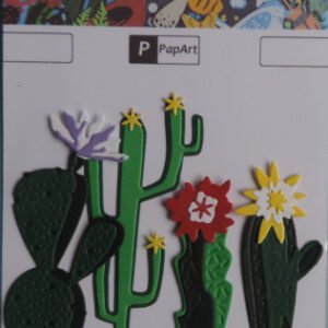 Cactus