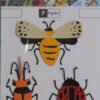 Insectos