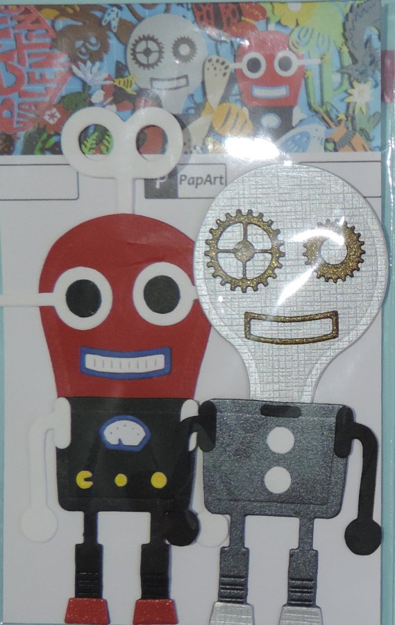 FS-ROBOT Robot